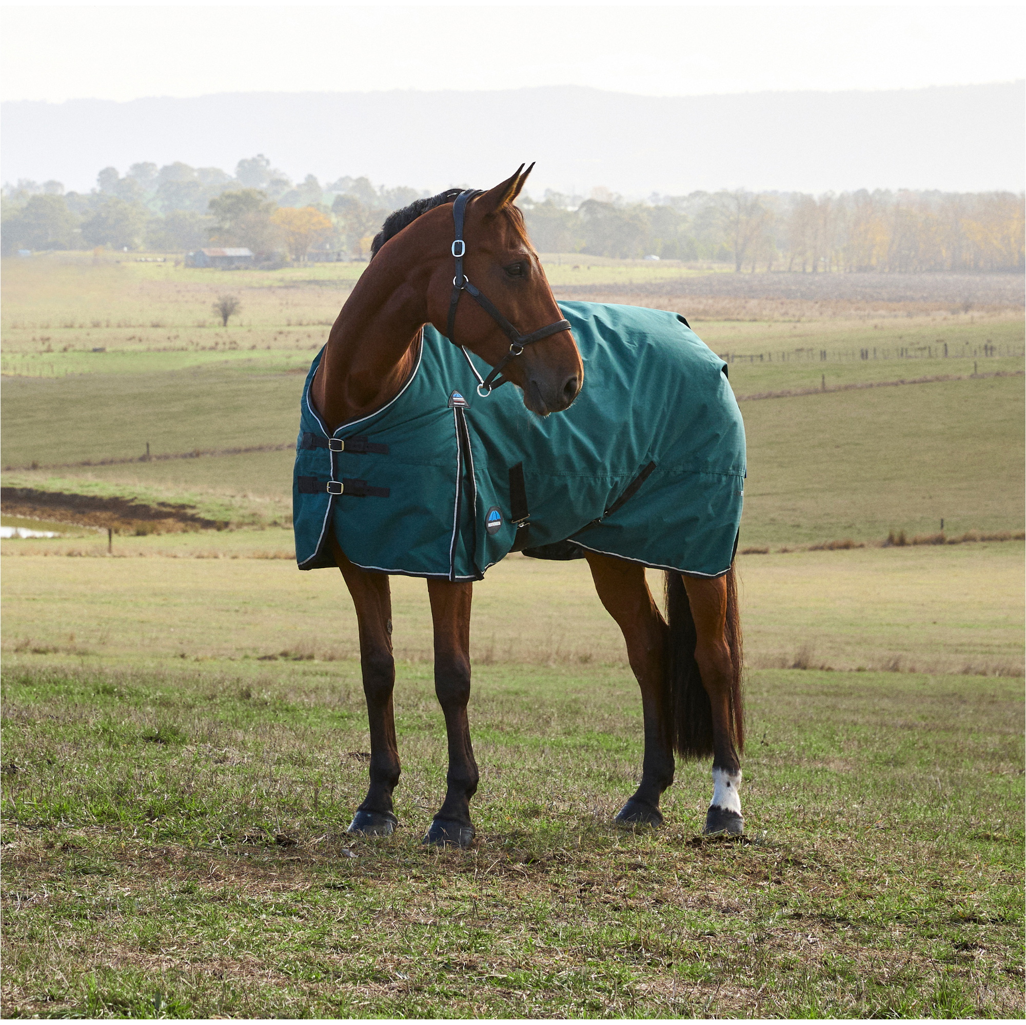2025 WeatherBeeta Comfitec Classic Turnout 1029070 - Forest Green